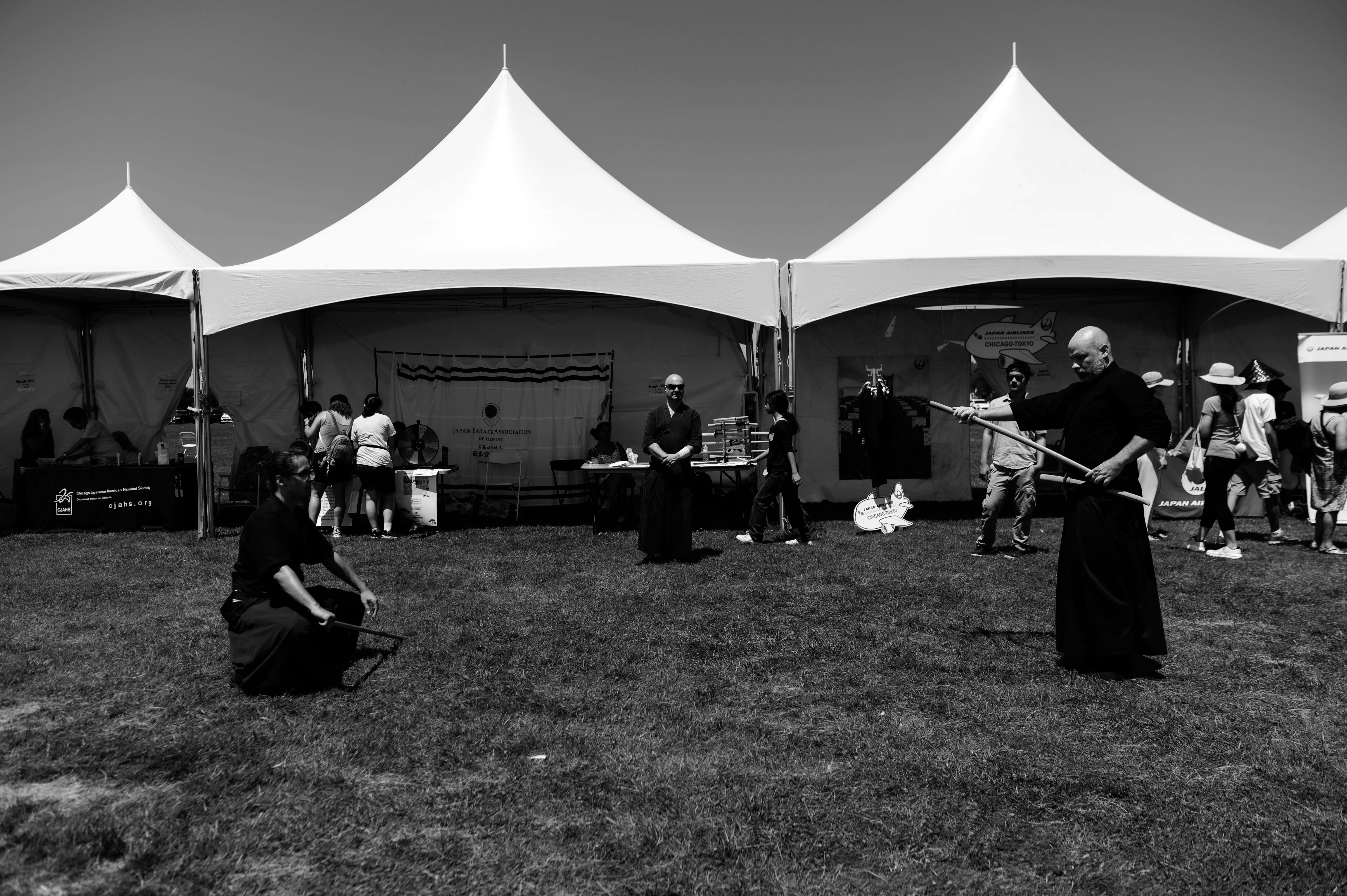 Japan Fest Chicago cultural celebration and community festival