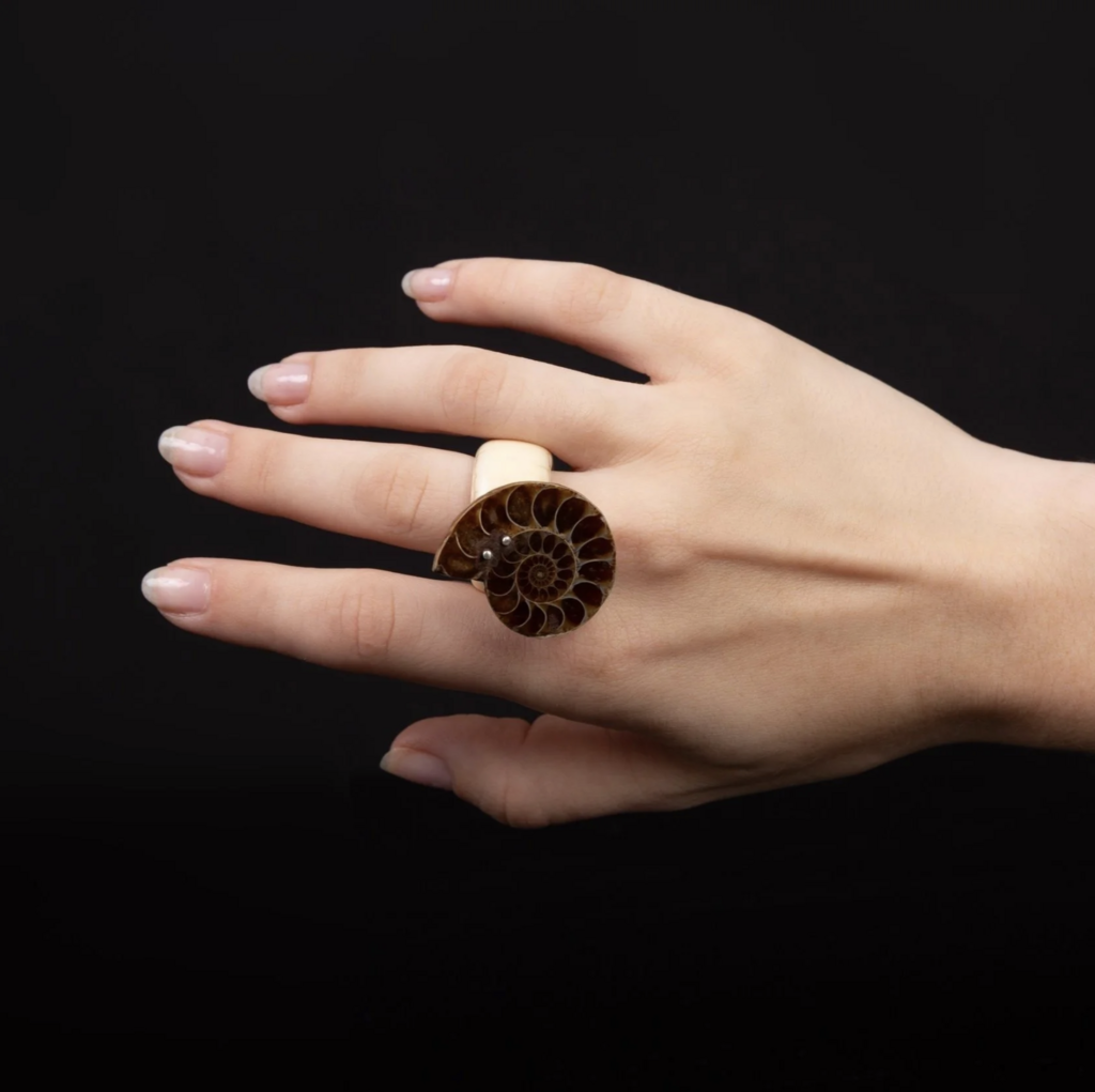 Gillion Carrara Amonite Ring at The Golden Triangle